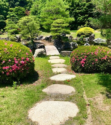 Plant Haven